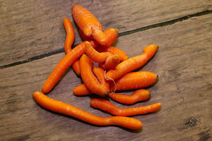 © Katharina Rossboth / Karotten müssen nicht gerade sein um gut zu schmecken
