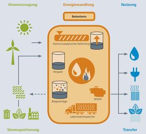 © Fraunhofer UMSICHT/ Mit dem modularen Konzept der »Biobatterie« lässt sich eine erheblich größere Bandbreite von Biomasse nutzen