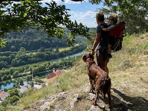© bx-news/TVO/Susanne Meitinger /  Wandern mit dem Hund - zum Beispiel auf den Kreuzfelsen über Essing