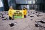Hans Hochstöger Greenpeace / Ölverschmierte Vögel vor der OMV