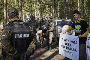 © Grzegorz Broniatowski Greenpeace/ Protest in Polen