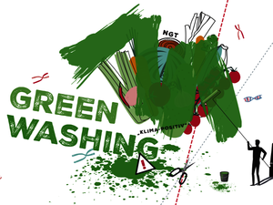 ©  Friends of the Earth Europe / Grafik aus Greenwashing-Report