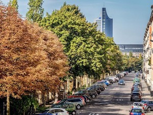 © Philipp Kirschner/ Mehr Straßenbäume in Städten (wie hier im Leipziger Stadtzentrum) können dazu beitragen, die psychische Gesundheit, aber auch das lokale Klima, die Luftqualität und den Artenreichtum zu verbessern.