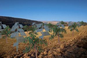 © FH FFM/Projektgruppe ErneuerPark-Innovativ: Die Solarstreuobstwiesen sind ein Vorschlag der Studierenden.