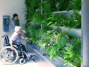 © TU Wien / Auch Innenräume lassen sich mit Pflanzen verbessern