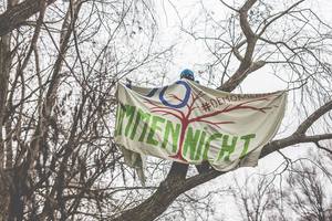 © bergschaf/ Aktivist in einem Baum- so kann er nicht gerodet werden