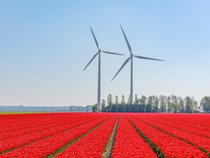© Martijn Baudoin unsplash.com / Windkraft