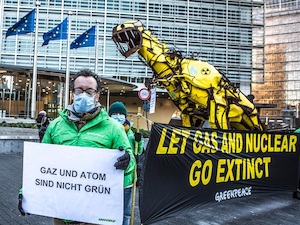 © Greenpeace Christian Steiner /Greenpeace Demonstration in Brüssel