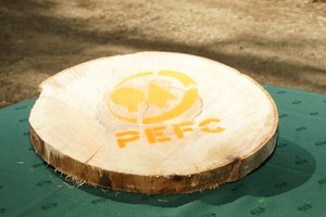 © oekonews W.J.Pucher / PEFC - das ist nachhaltiger Wald