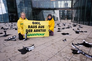 ©  Hans Hochstöger Greenpeace / Ölverschmierte Vögel vor der OMV