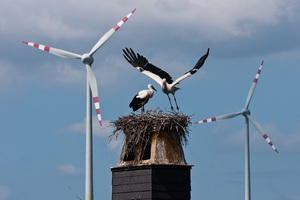 © Franz Weinhofer -Europäisches Siegerbild  aufgenommen beim Windpark Haindorf in Niederösterreich