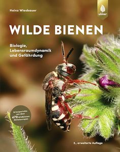 © Ulmer Verlag / Wilde Bienen