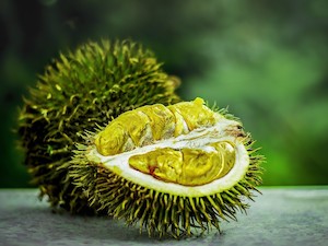 © truthseeker08 auf Pixabay /Extrem stark riechend: Die Durianfrucht