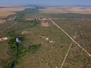 © Myke Sena WWF Brazil/ Von oben ist die Abholzung stark sichtbar