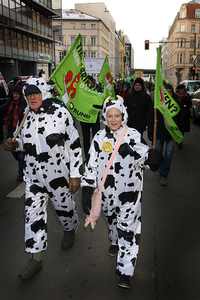 © Wir haben es satt-  Demonstranten wollen keine Tierfabriken