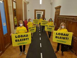 © Dennis Todorov/ Greenpeace / Besetzung des Wiener Rathauses durch Greenpeace