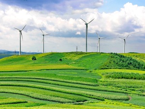 © Grassland by Fu Jumming / Windkraftanlagen
