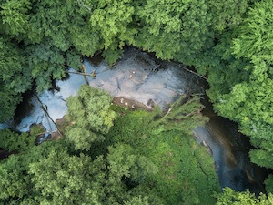 ©  Marc-Robert Lehmann /Die Wasserqualität der Flüsse aus 23 Ländern Europas hat sich verbessert – ein guter ökologischer Zustand wurde aber nicht erreicht.