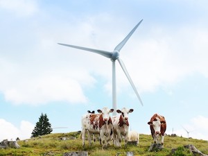 © Ig Windkraft / Das Windrad auf der Sommeralm
