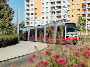 © Manfred Helmer Wiener Linien / Straßenbahn in Wien