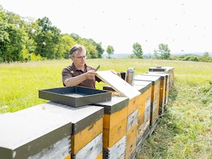 © Biene Österreich/Alek Kawka / Bio-Imker Josef Stich bei den Bienenstöcken der Imkerei bienen-stich.at