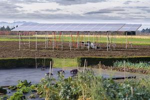 © HTW Dresden/Peter Sebb - Im Rahmen des Forschungsprojektes wird untersucht, wie sich Photovoltaikanlagen auf die unmittelbar genutzte Fläche und deren Umgebung auswirken.